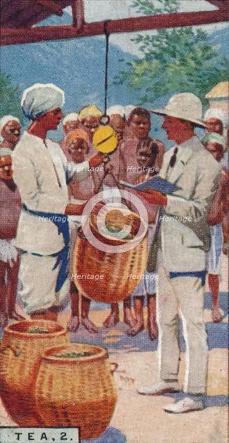 'Tea, 2. - Weighing the Pickings, Ceylon', 1928. Artist: Unknown.