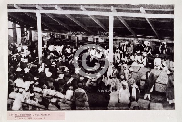 Tea auction, probably in Calcutta, India, c1880. Creator: Bourne & Shepherd.