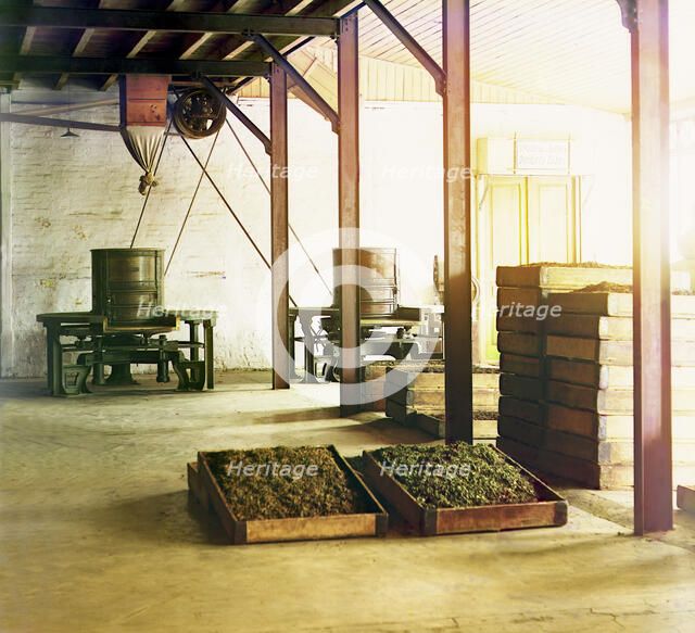 Tea factory in Chakva; tubs and baskets with fragrant tea, between 1905 and 1915. Creator: Sergey Mikhaylovich Prokudin-Gorsky.