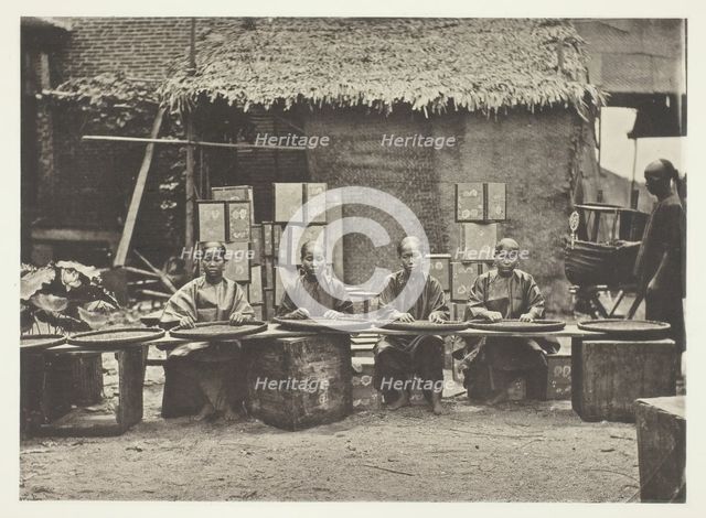 Tea-Picking in Canton, c. 1868. Creator: John Thomson.