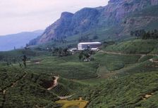 Tea Plantation and Factory, North of Nuwara Eliya, Central Sri Lanka, 20th century. Artist: CM Dixon