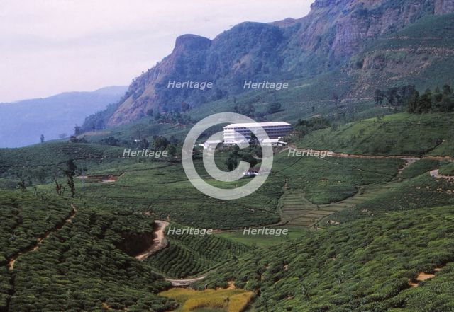 Tea Plantation and Factory, North of Nuwara Eliya, Central Sri Lanka, 20th century. Artist: CM Dixon.