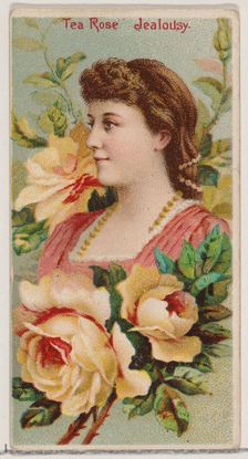 Tea Rose: Jealousy, from the series Floral Beauties and Language of Flowers (N75) for Duke..., 1892. Creator: Donaldson Brothers