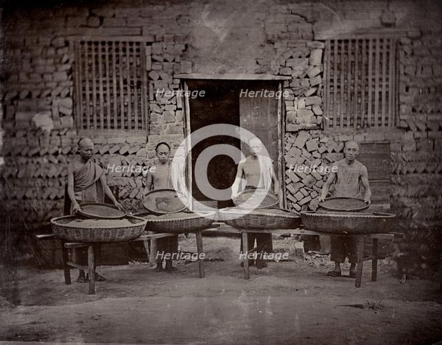Tea sorting, end of 19th century. Creator: Nikolai Apollonovich Charushin.