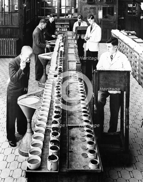 Tea tasters at Lyons tea factory, Greenford, Greater London, post 1920. Creator: Unknown.