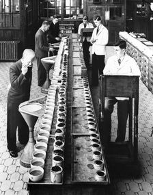 Tea tasters at Lyons tea factory, Greenford, Greater London, post 1920