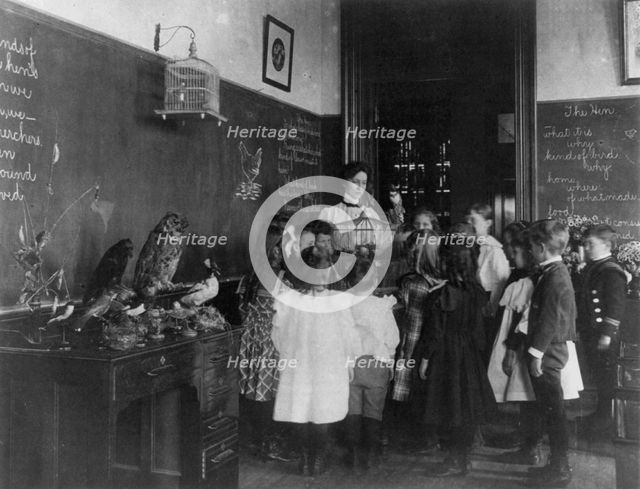 Teacher and group of grade school children standing around bird cage and..., Washington DC, (1899?). Creator: Frances Benjamin Johnston.