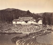 Teafield & Josshouse at Peling, ca. 1869. Creator: Attributed to Tung Hing