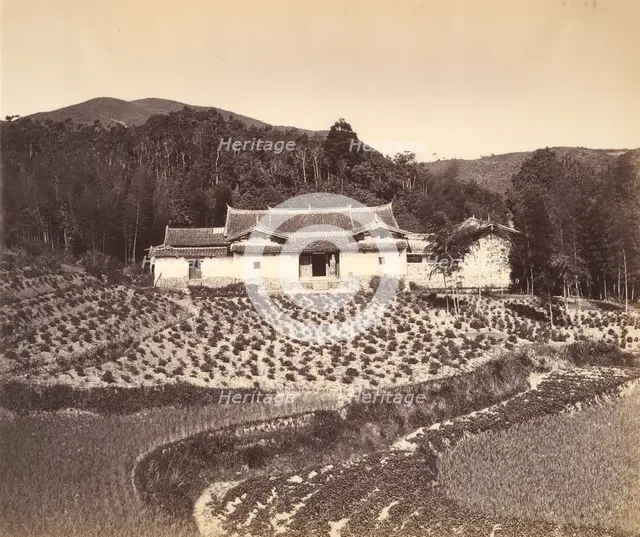 Teafield & Josshouse at Peling, ca. 1869. Creator: Attributed to Tung Hing.