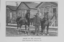 Team of Mr. Madock; Has business at Harvey, Ill., 1907. Creator: Unknown