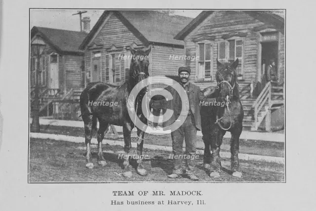 Team of Mr. Madock; Has business at Harvey, Ill., 1907. Creator: Unknown.