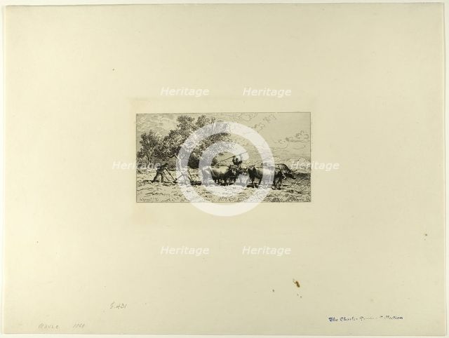 Team of Oxen, 1868. Creator: Charles Emile Jacque.