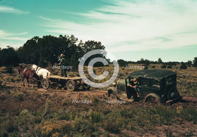 Team pulling a car out of the mud; the roads near Pie Town, New Mexico are not improved, 1940. Creator: Russell Lee.