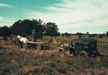 Team pulling a car out of the mud; the roads near Pie Town, New Mexico are not improved, 1940. Creator: Russell Lee