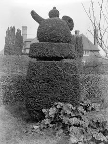 Teapot topiary at Sedlescombe, East Sussex, 1916. Artist: Nathaniel Lloyd