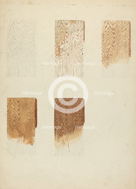 Technique Demo (Wood Grain), 1935/1942. Creator: Unknown.