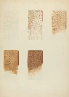 Technique Demo (Wood Grain), 1935/1942. Creator: Unknown