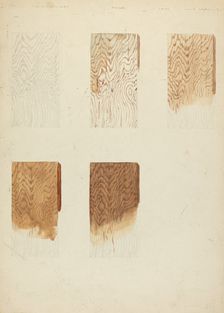 Technique Demo (Wood Grain), 1935/1942. Creator: Unknown