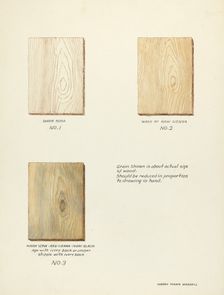 Technique Demo (Wood Grain), 1935/1942. Creator: Harry Mann Waddell