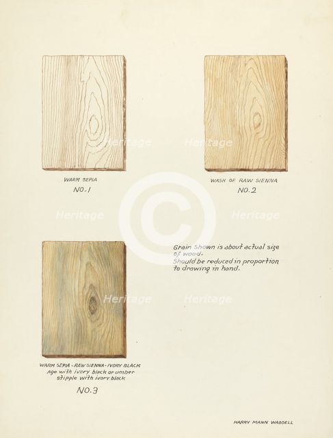 Technique Demo (Wood Grain), 1935/1942. Creator: Harry Mann Waddell.