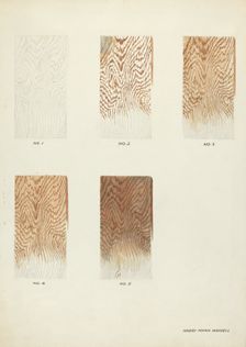Technique Demo (Wood Grain), c. 1938. Creator: Harry Mann Waddell