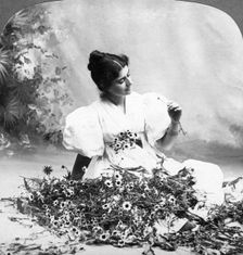 Tell Me Daisy Does He Love Me? Artist: American Stereoscopic Company
