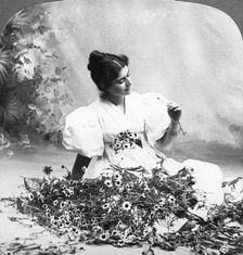 Tell Me Daisy Does He Love Me? Artist: American Stereoscopic Company