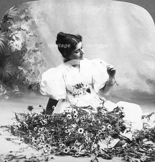 'Tell Me Daisy Does He Love Me?'.Artist: American Stereoscopic Company