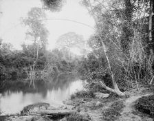 Temasopa (i.e. Tamasopo) River, between 1880 and 1897. Creator: William H. Jackson