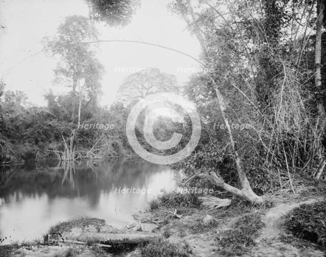 Temasopa (i.e. Tamasopo) River, between 1880 and 1897. Creator: William H. Jackson.