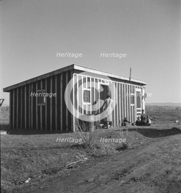 Temporary housing for the settlers, Bosque Farms project, New Mexico, 1935. Creator: Dorothea Lange.