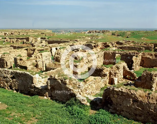 Temple of Atargatis, Dura-Europos, Syria, 2001. Creator: LTL.