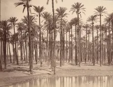 Temple de Cathers a Saqqarah, 1880s. Creator: Unknown