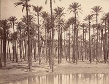 Temple de Cathers a Saqqarah, 1880s. Creator: Unknown