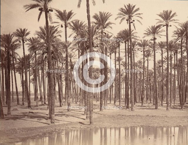 Temple de Cathers a Saqqarah, 1880s. Creator: Unknown.