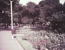 Temple Gardens, London, c1955. Creator: Arthur Charles Kirby Ware