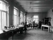 Ten members of staff studying and performing experiments on dogs in the Physiology..., 1904. Creator: Unknown