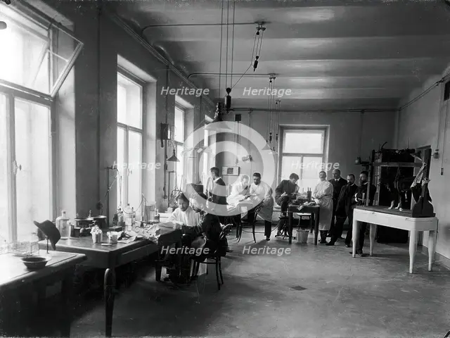 Ten members of staff studying and performing experiments on dogs in the Physiology..., 1904. Creator: Unknown.
