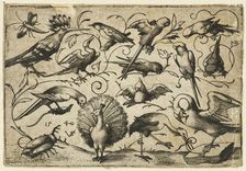 Ten birds on small foliage tendrils with a stork tying a tendril around a pelican’s leg..., 1540. Creator: Virgil Solis