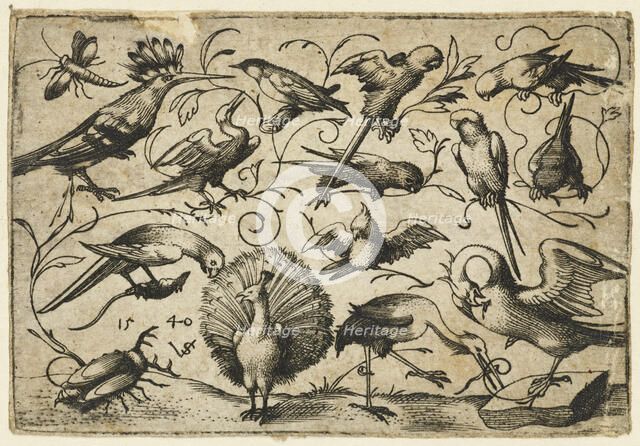 Ten birds on small foliage tendrils with a stork tying a tendril around a pelican’s leg..., 1540.  Creator: Virgil Solis.