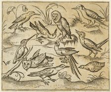 Ten birds sitting on branches and patches of grass, including two owls and a bird..., 1557. Creator: Virgil Solis