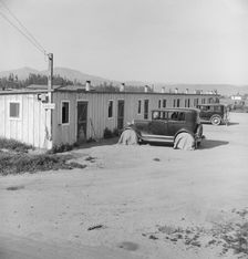 Ten cabins which rent for ten dollars..., Arkansawyers...camp, Greenfield, Salinas Valley, CA, 1939. Creator: Dorothea Lange