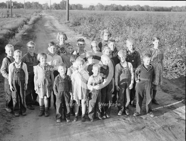 Ten families established by the FSA on the Mineral King Cooperative Farm, Tulare County, CA, 1938. Creator: Dorothea Lange.