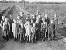Ten families established by the FSA on the Mineral King Cooperative Farm, Tulare County, CA, 1938. Creator: Dorothea Lange
