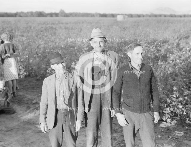 Ten families established by the FSA on the Mineral King Cooperative Farm, Tulare County, CA, 1938. Creator: Dorothea Lange.
