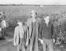 Ten families established by the FSA on the Mineral King Cooperative Farm, Tulare County, CA, 1938. Creator: Dorothea Lange