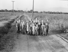 Ten families established by the FSA on the... Tulare County, CA, 1938. Creator: Dorothea Lange