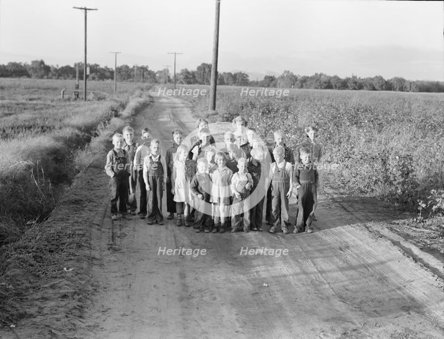Ten families established by the FSA on the... Tulare County, CA, 1938. Creator: Dorothea Lange.