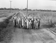 Ten families established by the FSA on the... Tulare County, CA, 1938. Creator: Dorothea Lange
