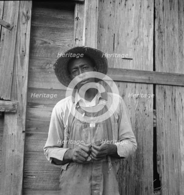 Tenant farmer, Chatham County, North Carolina, 1939. Creator: Dorothea Lange.